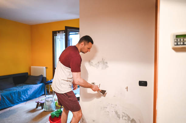 Mold Testing and Removal in Donald, OR
